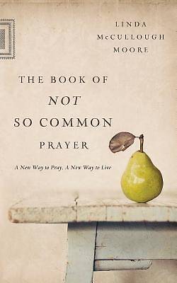 Picture of The Book of Not So Common Prayer