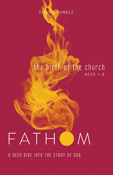 Picture of Fathom Bible Studies: The Birth of the Church Digital Bundle (Luke 24-Acts 8)