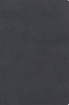 Rvr 1960 Biblia de Estudio de Letra Gigante, Negro, Símil Piel