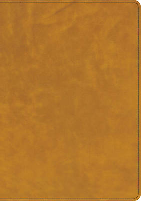 CSB Lumen Dei Bible, Lux Gloriae