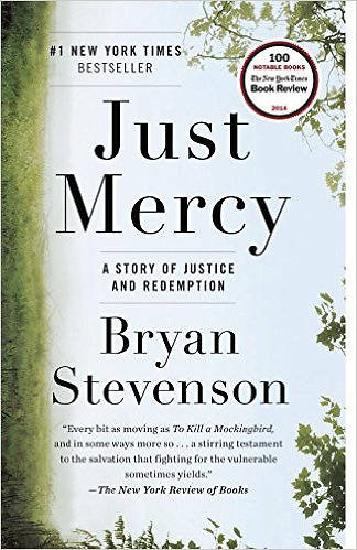 Reader's Guide for Just Mercy PDF Download