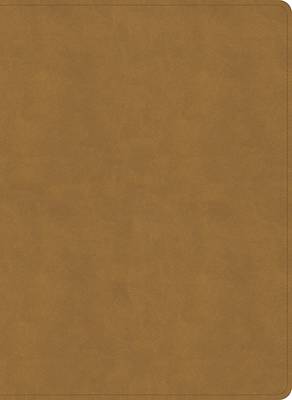 NASB Study Bible, Camel Suedesoft Leathertouch