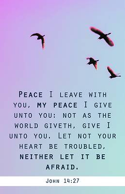 My Peace Funeral Bulletin PKG 100