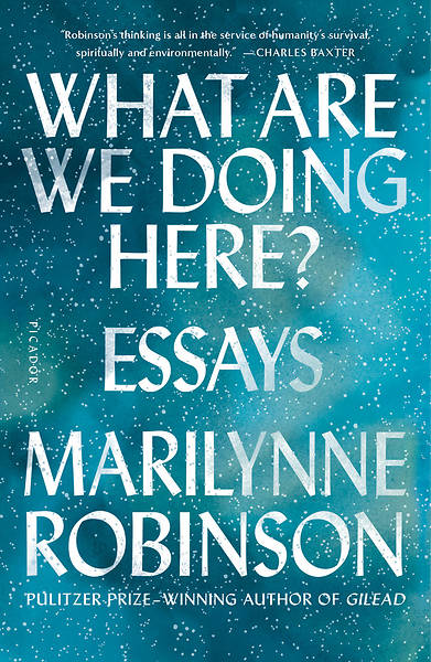 Picture of What Are We Doing Here?: Essays