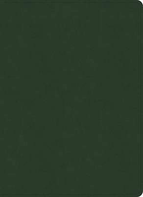 NASB Study Bible, Olive Leathertouch