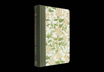Picture of ESV Everyday Gospel Bible, Artist Series