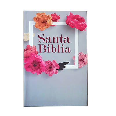 Picture of Santa Biblia