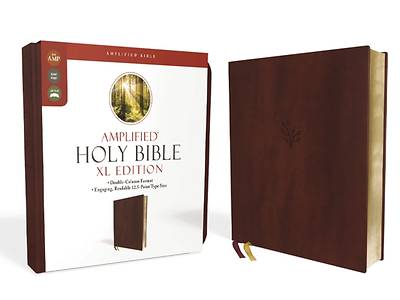 Picture of Amplified Holy Bible, XL Edition, Leathersoft, Burgundy