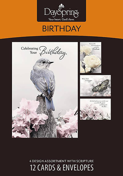 Picture of A Touch of Color - Birthday Boxed Cards - Box of 12