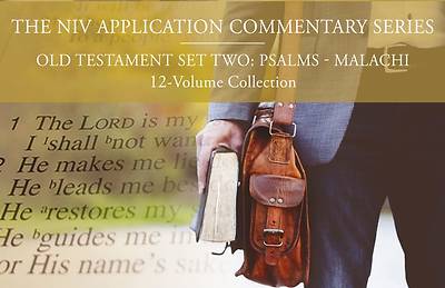 The NIV Application Commentary, Old Testament Set Two