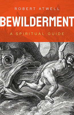 Picture of Bewilderment