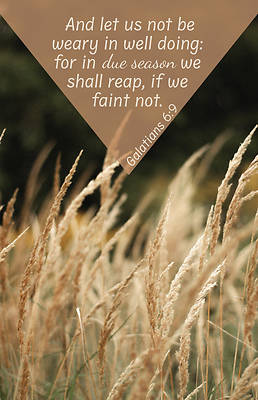 In Due Season Worship Bulletin PKG 100