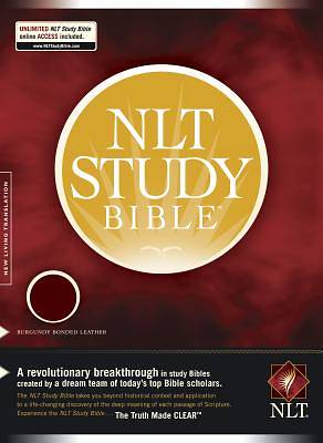 Picture of New Living Translation Study Bible