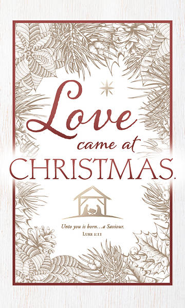 Picture of Love Came at Christmas Banner 3 x 5 Fabric