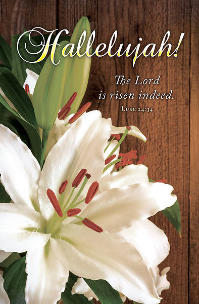 Picture of Hallelujah Lily Easter Regular Size Bulletin