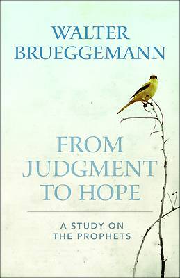 Picture of From Judgment to Hope