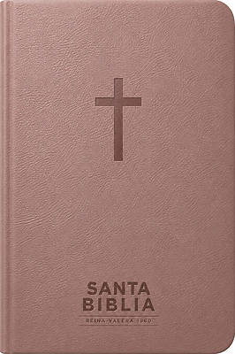 Santa Biblia Reina-Valera 1960 - Visual Con Mapas Mentales (Sentipiel, Rosa, Letra Roja)