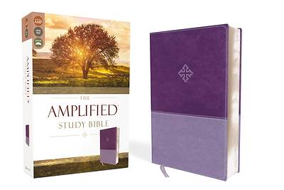 Picture of Amplified Study Bible, Imitation Leather, Purple