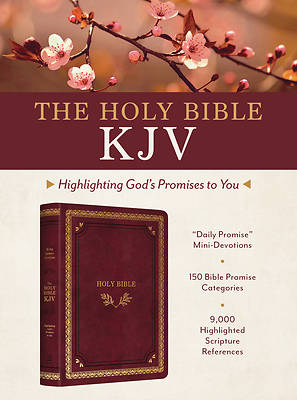 Picture of The Holy Bible Kjv