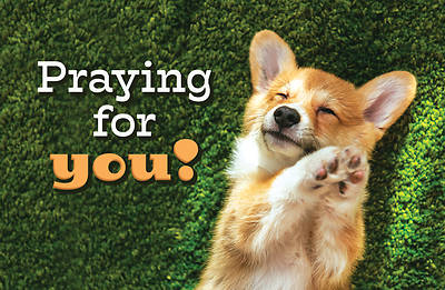 Picture of Praying For You! Dog Postcard