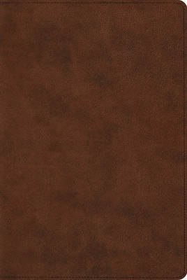 Picture of ESV Reader's Bible (Trutone, Brown)
