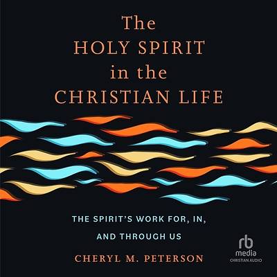 Picture of The Holy Spirit in the Christian Life