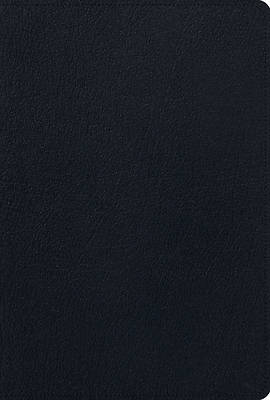 Picture of ESV Men's Study Bible (Black)