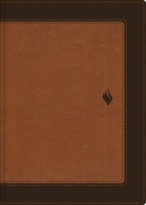 Picture of Rvr60, Biblia de Estudio de la Vida Plena, Edición Clásica, Leathersoft DOS Tonos Café, Palabras de Jesús En Rojo, Comfort Print