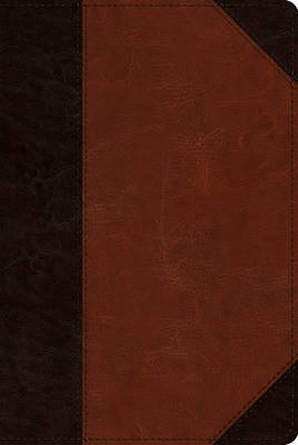 Picture of ESV Reader's Bible (Trutone, Brown/Cordovan, Portfolio Design)