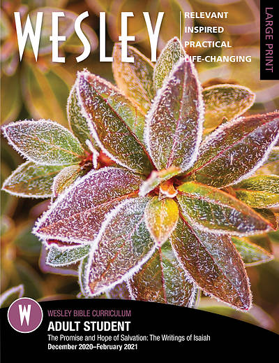 Picture of Wesley Adult Bible Student Large Print Winter 2020-2021