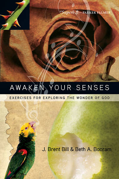 Picture of Awaken Your Senses