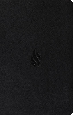 Picture of Premium Gift Bible-ESV-Flame Design