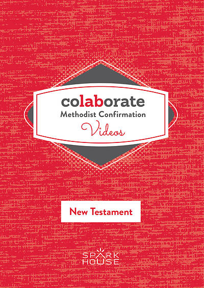 Picture of Colaborate Methodist Confirmation DVD New Testament