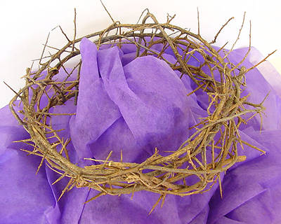 Picture of Crown of Thorns - Large 11-12"