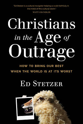 Picture of Christians in the Age of Outrage
