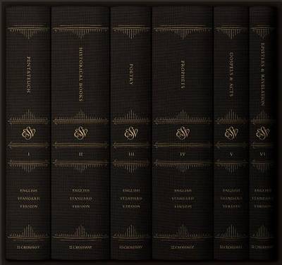 Picture of ESV Reader's Bible, Six-Volume Set