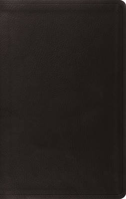 Picture of Value Thinline Bible-ESV