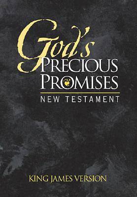 Picture of God's Precious Promises New Testament-KJV