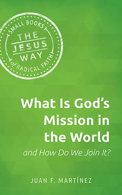 Picture of What Is God's Mission in the World and How Do We Join It?