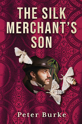 Picture of The Silk Merchant's Son