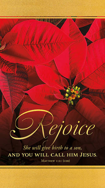 Picture of Banner Rejoice Christmas 3 x 5 Vinyl