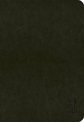 ESV Applying the Gospel Study Bible for Men (Trutone, Black)