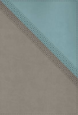 NIV Application Bible, Leathersoft, Teal/Grey, Red Letter, Thumb Indexed, Comfort Print