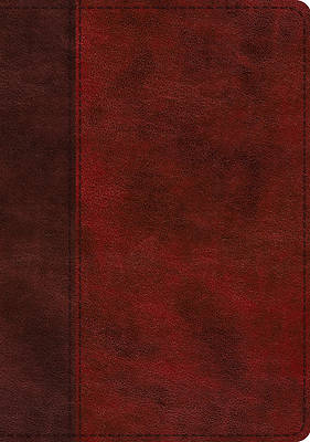 Picture of ESV Single Column Journaling Bible, Large Print (Trutone, Burgundy/Red, Timeless Design)