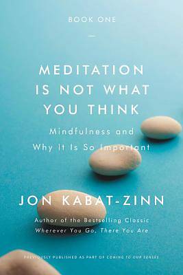 Picture of Meditation Is Not What You Think
