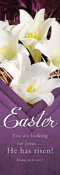 Picture of He Has Risen! Easter 2' x 6' Fabric Banner