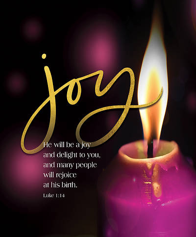 Picture of Joy He Will Be Advent Candle Sunday 3 Bulletin, Large (Pkg of 50)