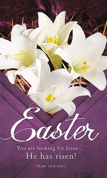 Picture of He Has Risen! Easter 3' x 5' Fabric Banner