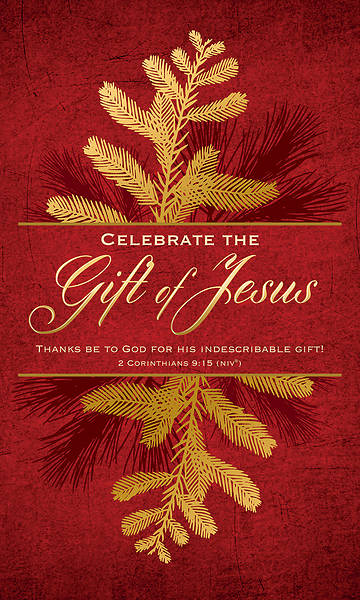 Picture of Celebrate the Gift of Jesus Christmas 3' X 5' Fabric Banner