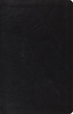 Picture of ESV Large Print Thinline Reference Bible